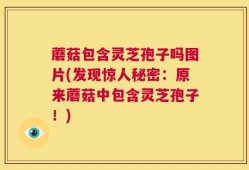 蘑菇包含灵芝孢子吗图片(发现惊人秘密：原来蘑菇中包含灵芝孢子！)