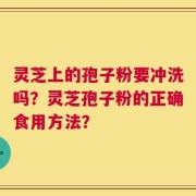 灵芝上的孢子粉要冲洗吗？灵芝孢子粉的正确食用方法？