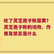 吃了灵芝孢子粉尿黄？灵芝孢子粉的功效、作用及禁忌是什么