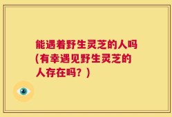 能遇着野生灵芝的人吗(有幸遇见野生灵芝的人存在吗？)
