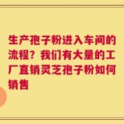 生产孢子粉进入车间的流程？我们有大量的工厂直销灵芝孢子粉如何销售
