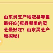 山东灵芝产地冠县哪里最好吃(冠县哪里的灵芝最好吃？山东灵芝产地探秘)