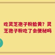 吃灵芝孢子粉脸黄？灵芝孢子粉吃了会便秘吗