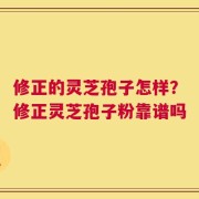 修正的灵芝孢子怎样？修正灵芝孢子粉靠谱吗
