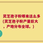 灵芝孢子粉哪来这么多(灵芝孢子粉产量巨大，产地分布全球。)