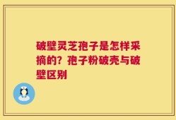 破壁灵芝孢子是怎样采摘的？孢子粉破壳与破壁区别