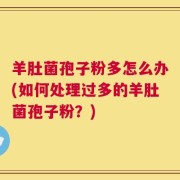 羊肚菌孢子粉多怎么办(如何处理过多的羊肚菌孢子粉？)