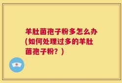 羊肚菌孢子粉多怎么办(如何处理过多的羊肚菌孢子粉？)