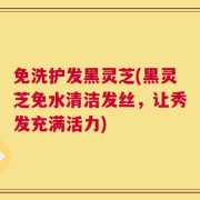 免洗护发黑灵芝(黑灵芝免水清洁发丝，让秀发充满活力)