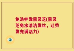 免洗护发黑灵芝(黑灵芝免水清洁发丝，让秀发充满活力)
