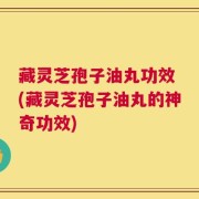 藏灵芝孢子油丸功效 (藏灵芝孢子油丸的神奇功效)