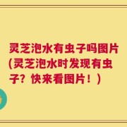灵芝泡水有虫子吗图片(灵芝泡水时发现有虫子？快来看图片！)