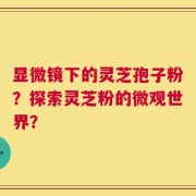 显微镜下的灵芝孢子粉？探索灵芝粉的微观世界？