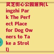 灵芝街心公园遛狗(Lingzhi Park The Perfect Place for Dog Owners to Take a Stroll)