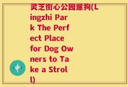 灵芝街心公园遛狗(Lingzhi Park The Perfect Place for Dog Owners to Take a Stroll)
