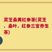 灵芝桑黄红参茶(灵芝、桑叶、红参三宝养生茶)