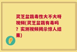 灵芝盆栽毒性大不大呀视频(灵芝盆栽有毒吗？实测视频揭示惊人结果)