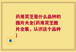 药用灵芝是什么品种的图片大全(药用灵芝图片全集，认识这个品种)
