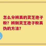 怎么分辨真的灵芝孢子粉？辨别灵芝孢子粉真伪的方法？