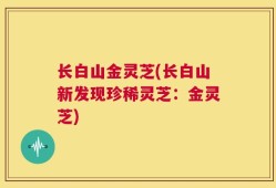 长白山金灵芝(长白山新发现珍稀灵芝：金灵芝)