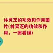 林灵芝的功效和作用图片(林灵芝的功效和作用，一图看懂)