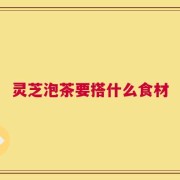灵芝泡茶要搭什么食材