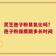 灵芝孢子粉易氧化吗？孢子粉保质期多长时间