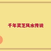 千年灵芝风水传说