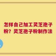 怎样自己加工灵芝孢子粉？灵芝孢子粉制作法