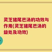 灵芝猪尾巴汤的功效与作用(灵芝猪尾巴汤的益处及功效)