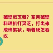 破壁灵芝我？家用破壁料理机打灵芝，打出来成棉絮状，嚼着硬怎吞吃