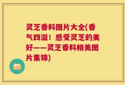 灵芝香料图片大全(香气四溢！感受灵芝的美好——灵芝香料精美图片集锦)
