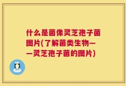 什么是菌像灵芝孢子菌图片(了解菌类生物——灵芝孢子菌的图片)