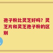 孢子粉比灵芝好吗？灵芝片和灵芝孢子粉的区别