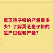 灵芝孢子粉的产量是多少？了解灵芝孢子粉的生产过程和产量？