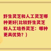 野生灵芝和人工灵芝哪种更好(比较野生灵芝和人工培养灵芝：哪种更具优势？)