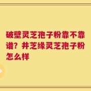 破壁灵芝孢子粉靠不靠谱？井芝缘灵芝孢子粉怎么样