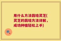 用什么方法栽培灵芝(灵芝的栽培方法详解，成功种植轻松上手)
