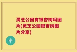 灵芝公园有银杏树吗图片(灵芝公园银杏树图片分享)