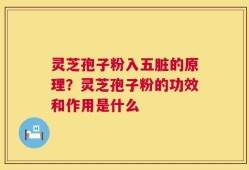 灵芝孢子粉入五脏的原理？灵芝孢子粉的功效和作用是什么