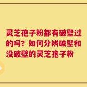 灵芝孢子粉都有破壁过的吗？如何分辨破壁和没破壁的灵芝孢子粉