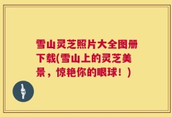雪山灵芝照片大全图册下载(雪山上的灵芝美景，惊艳你的眼球！)