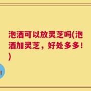 泡酒可以放灵芝吗(泡酒加灵芝，好处多多！)