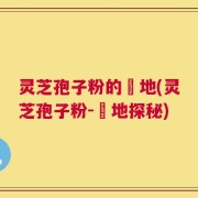 灵芝孢子粉的産地(灵芝孢子粉-産地探秘)