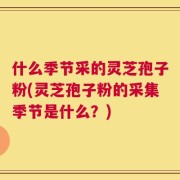 什么季节采的灵芝孢子粉(灵芝孢子粉的采集季节是什么？)