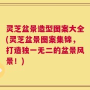 灵芝盆景造型图案大全(灵芝盆景图案集锦，打造独一无二的盆景风景！)