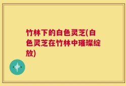 竹林下的白色灵芝(白色灵芝在竹林中璀璨绽放)