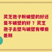 灵芝孢子粉破壁的好还是不破壁的好 ？灵芝孢子去壁与破壁有哪些差别
