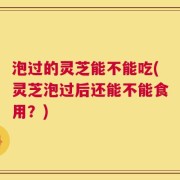 泡过的灵芝能不能吃(灵芝泡过后还能不能食用？)