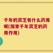千年的灵芝有什么药用呢(探索千年灵芝的药用作用)